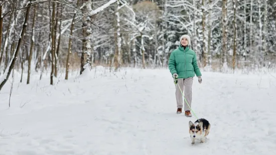 Niske temperature su opasne za neke pse: Ovih 20 pasmina trebate posebno čuvati
