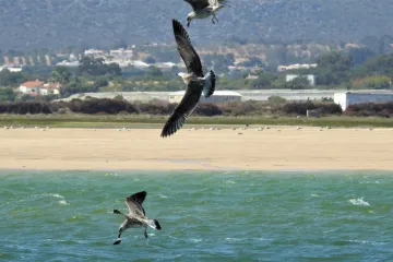 Raj je za odmoriti dušu: Nema ni kuća ni cesta i zovu ga 'pustinjski otok