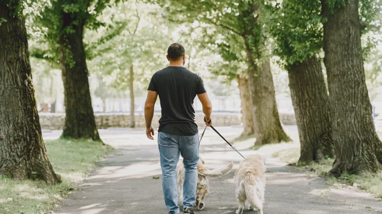 Izgradite jednostavnije uspje&scaron;nu karijeru: Ove poslove možete pokrenuti iz udobnosti svog doma