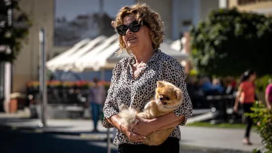 Nema tko se nije zagledao u gospođu s ko&scaron;uljom leopard uzorka: Čakovec ovih dana vrvi bojama