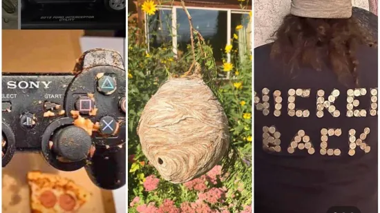 Zapanjit će vas &scaron;to sve ljudi prodaju preko neta i koliko za to traže, ovo su samo neki od najluđih primjera