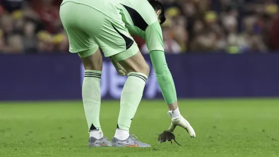 Nepozvani gost na utakmici Belgije i Walesa: Pogledajte kako je &scaron;takor nasamario Realovu zvijzdu