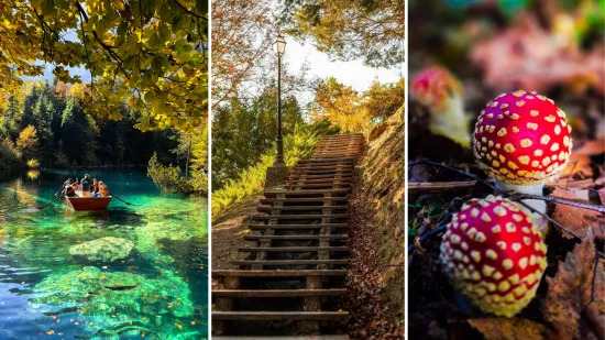 Boje jeseni ukrasile Hrvatsku: Ovo su najljep&scaron;i prizori koje su snimili čitatelji Net.hr-a