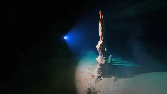 U dubinama pronađeno čudesno blago: Ronioci zanijemili kada su ugledali &scaron;to se tamo krije