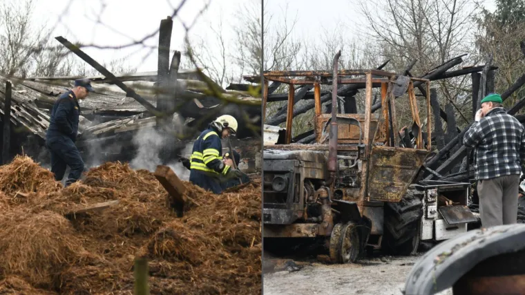 Životinje gorjele u buktinji, 200 kvadrata spaljeno do temelja: 'Pucalo je kao bomba'
