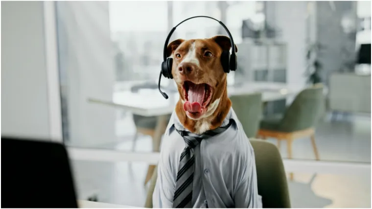 Spa&scaron;avaju živote, čuvaju okoli&scaron; i sudjeluju u kriminalu: Životinje sa zaista neobičnim poslovima