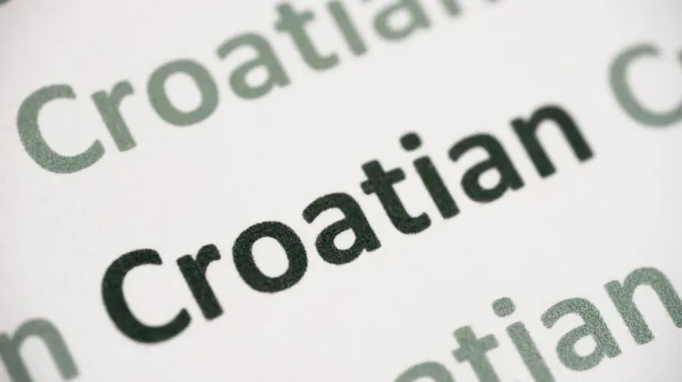 Ako ti je hrvatski materinji jezik, mora&scaron; prepoznati značenje barem sedam žargonizama