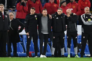 Velški izbornik razočarano o vječnoj temi nakon poraza od BiH: 'Zbunjuje me to'