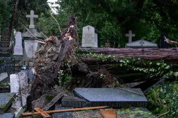 Uništeni grobovi na Mirogoju, oluja srušila 200 stabala: 'Molim vas da ne dolazite'